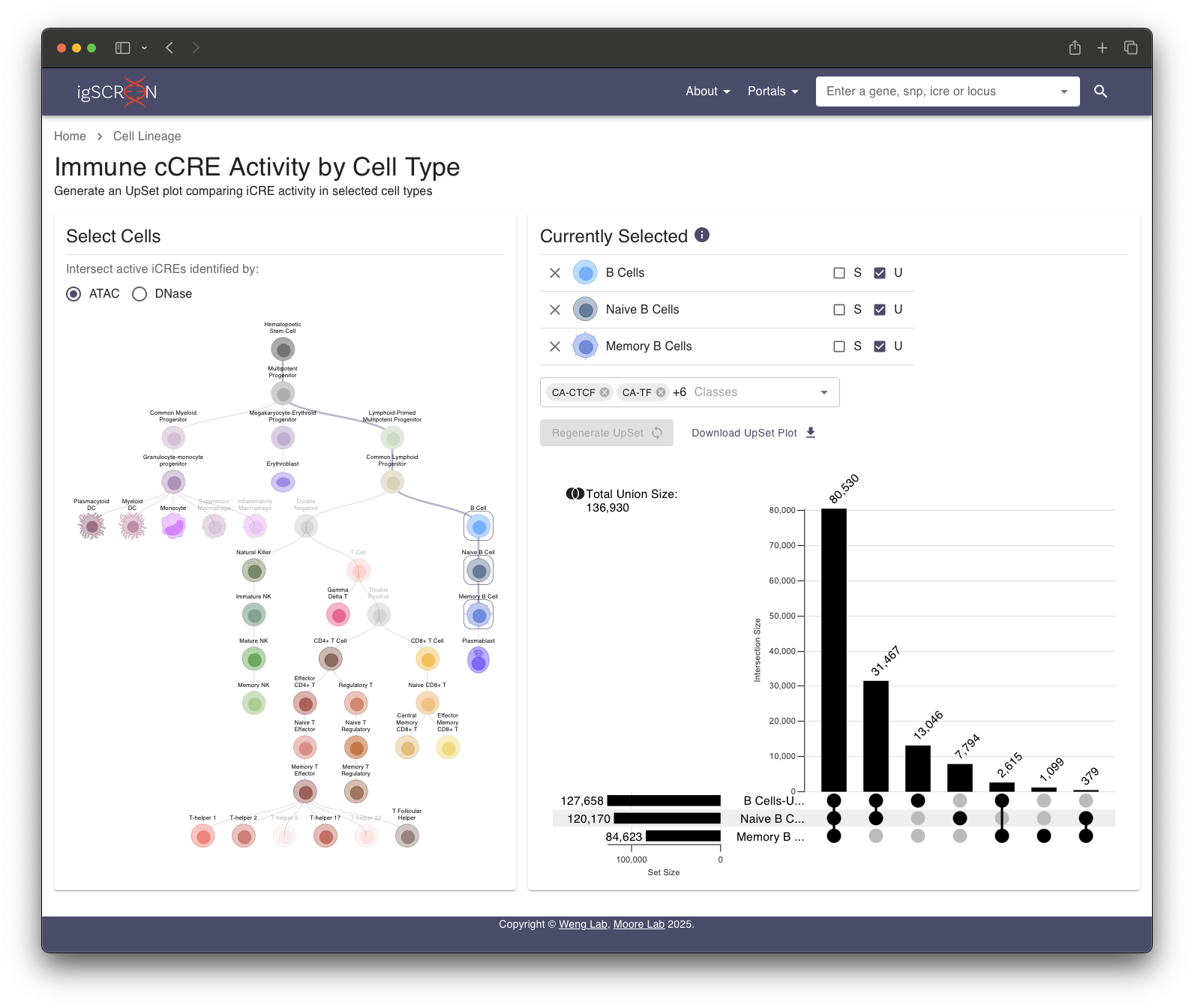 Immune cCRE Activity by Cell Type image
